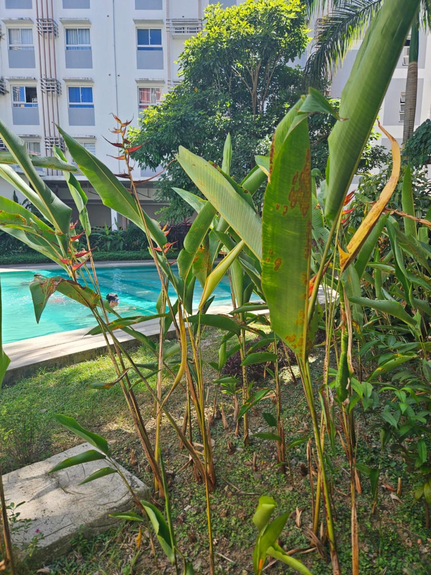 2-Bedroom Boutique City Condo - Newly Renovated! Cebu Екстериор снимка